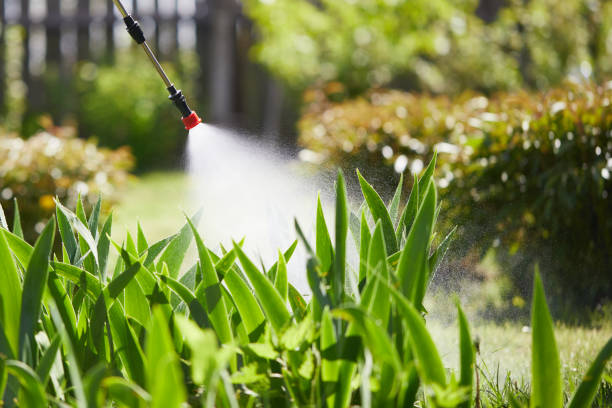 24/7 Emergency Bed Bug Control experts in Hugoton, KS